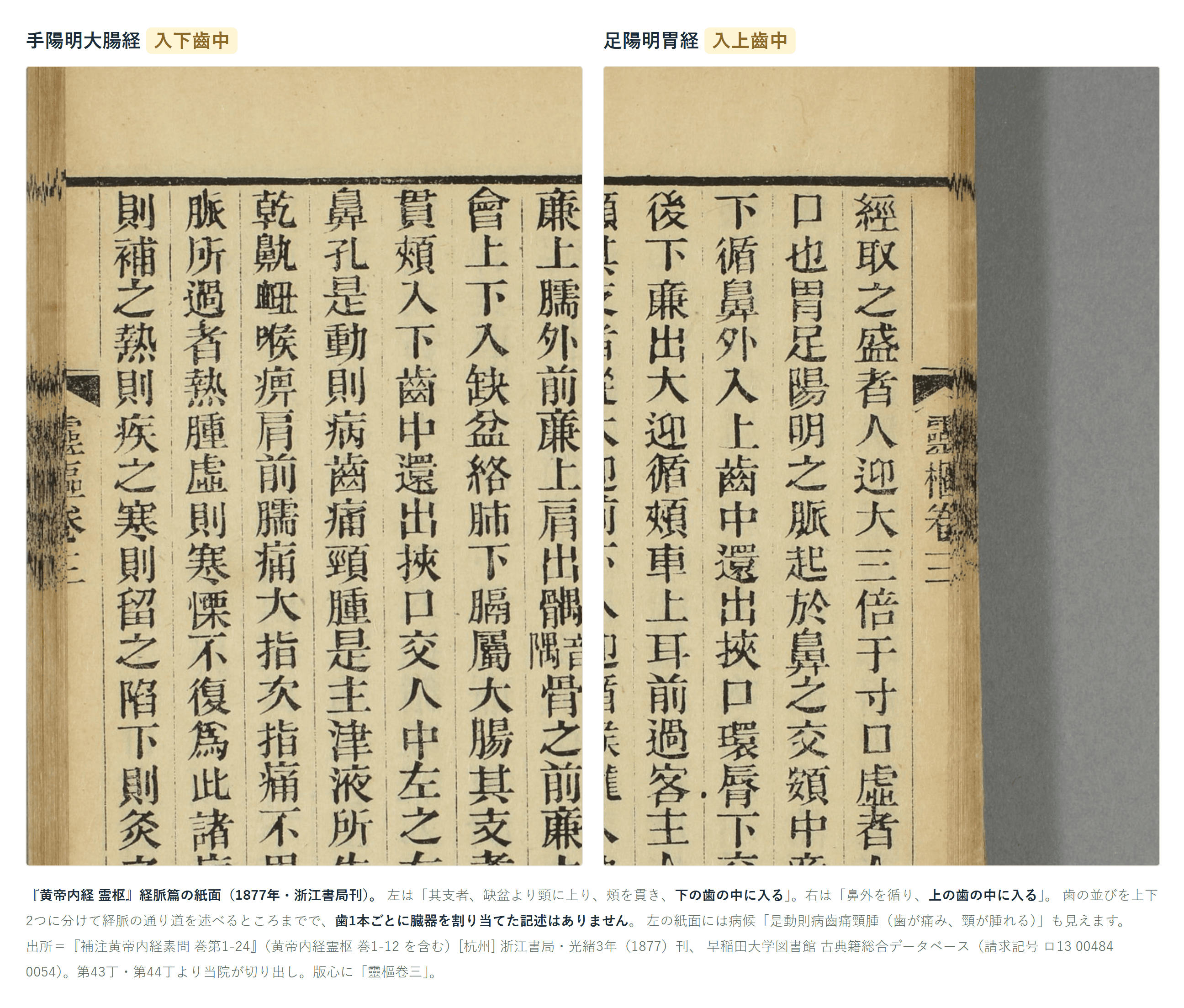 霊枢・経脈篇の紙面。手陽明大腸経の条に「入下齒中」、足陽明胃経の条に「入上齒中」とある